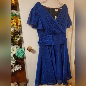 Unique vintage Magnolia place blue glitter dress